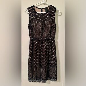 Anna Sui Wavy Scallop Lace Tank Dress in Black and Nude from Revolve Clothing